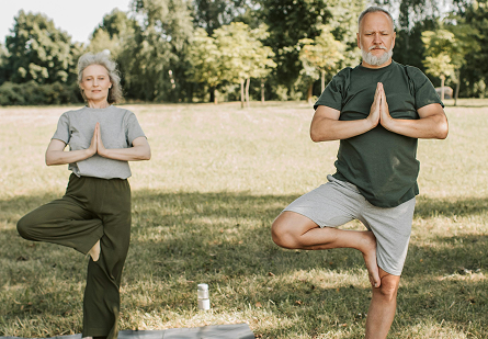 medicina ayurvédica