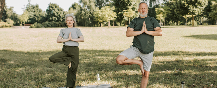 medicina ayurvédica